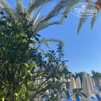 фото из отзыва ID 2740216