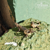 фото из отзыва ID 2740214