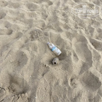 фото из отзыва ID 2740222