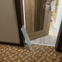 фото из отзыва ID 2740222