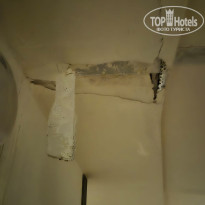 фото из отзыва ID 2740222