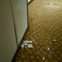 фото из отзыва ID 2740222