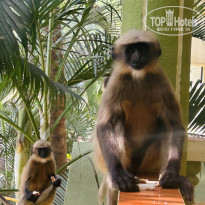 фото из отзыва ID 2740228