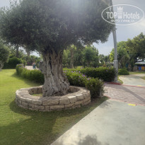 фото из отзыва ID 2740233