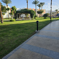 фото из отзыва ID 2740248