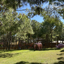 фото из отзыва ID 2740265