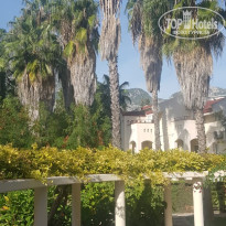 фото из отзыва ID 2740285