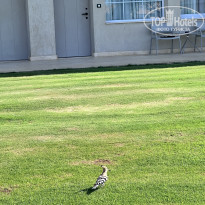 фото из отзыва ID 2740291