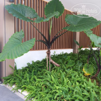 фото из отзыва ID 2740298