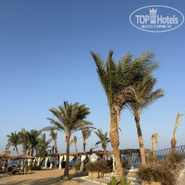 фото из отзыва ID 2740311