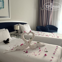 фото из отзыва ID 2740311