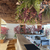 фото из отзыва ID 2740311