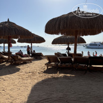 фото из отзыва ID 2740318