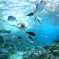 фото из отзыва ID 2740322