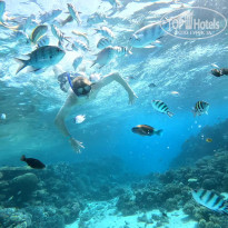 фото из отзыва ID 2740322