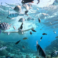 фото из отзыва ID 2740322