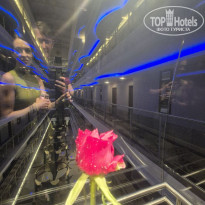 фото из отзыва ID 2740333