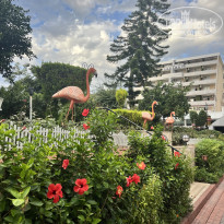 фото из отзыва ID 2740333