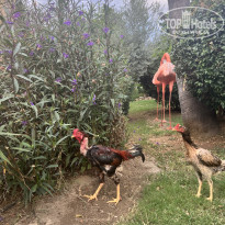 фото из отзыва ID 2740333