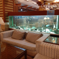 фото из отзыва ID 2740335