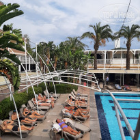 фото из отзыва ID 2740335