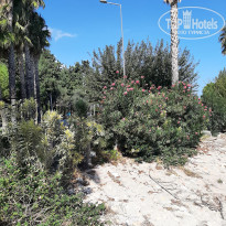 фото из отзыва ID 2740335