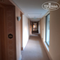 фото из отзыва ID 2740336