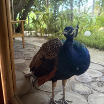 фото из отзыва ID 2740347