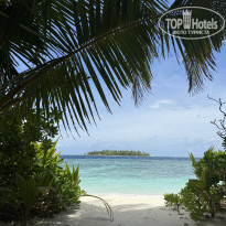 фото из отзыва ID 2740347