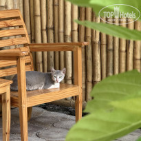 фото из отзыва ID 2740347