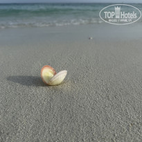 фото из отзыва ID 2740347