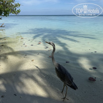 фото из отзыва ID 2740347