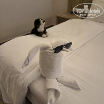 фото из отзыва ID 2740345