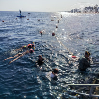 фото из отзыва ID 2740345