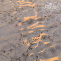 фото из отзыва ID 2740345