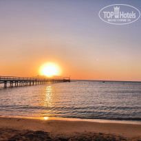 фото из отзыва ID 2740345