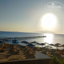 фото из отзыва ID 2740345