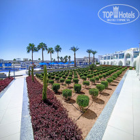 фото из отзыва ID 2740348