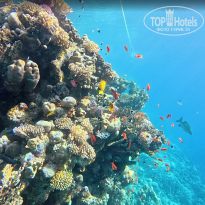 фото из отзыва ID 2740348