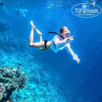 фото из отзыва ID 2740348