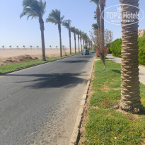 фото из отзыва ID 2740354