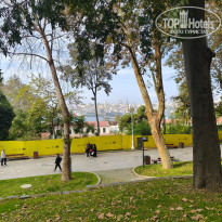 фото из отзыва ID 2740354