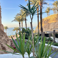 фото из отзыва ID 2740356