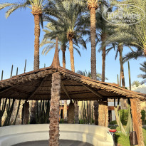 фото из отзыва ID 2740356