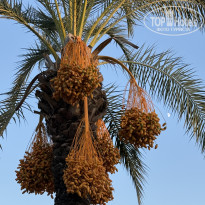 фото из отзыва ID 2740358