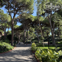 фото из отзыва ID 2740358