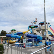 фото из отзыва ID 2740194