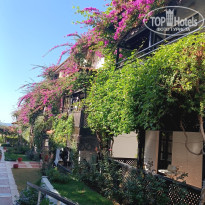 фото из отзыва ID 2740054