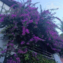 фото из отзыва ID 2740054