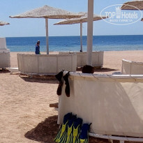 фото из отзыва ID 2740389